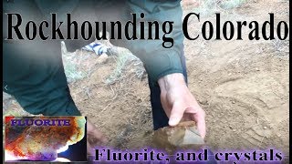 Finding Fluorite a beautiful mineral that is a treasure to us Colorado 2018 [upl. by Kerman]