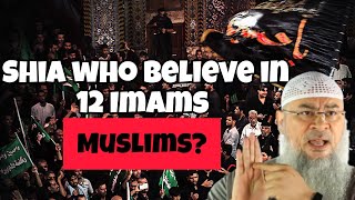 Are Shia who believe in 12 Imams Muslims assim assim al hakeem [upl. by Ahnavas]