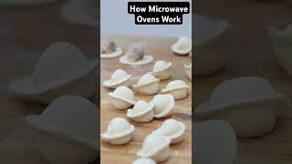 How Microwave Ovens Work [upl. by Madge]