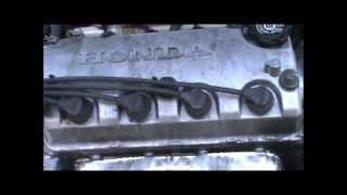 Honda Timing Belt Pt1 [upl. by Lark]