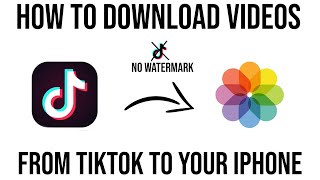 How to download videos from TikTok to your iphoneandroid without watermark [upl. by Brazee14]