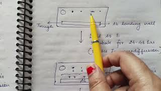 Immunoelectrophoresis [upl. by Em]