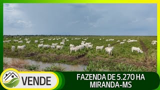 FAZENDA DE 5270 HA NO MATO GROSSO DO SUL [upl. by Leanatan]