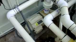 Intelliflo pump chirpingsqueaking noise [upl. by Balcke297]