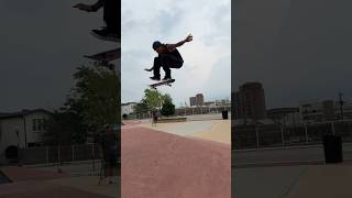 Regular or switch Bs flips [upl. by Anerol]