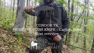 Condor Primitive Bush Knife overview [upl. by Scuram643]