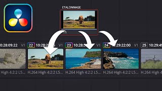 Comment copier coller un étalonnage sur plusieurs plans avec Davinci Resolve 18 [upl. by Aizek]