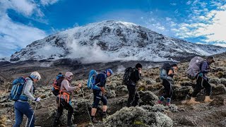 Expedition Kilimanjaro  most beautiful Lemosho Route [upl. by Shepard]