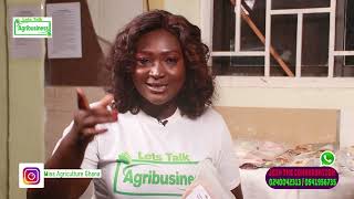 Lets Talk Agribusiness with Miss Agriculture Ghana [upl. by Ahsoik]