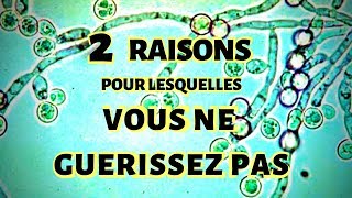 2 RAISONS POUR LESQUELLES VOUS NE GUÉRISSEZ PAS HYPOTHYROÏDIE ET ACIDITÉ GASTRIQUE [upl. by Lahcsap]