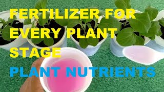 FERTILIZER FOR EVERY PLANT STAGE  PLANT NUTRIENTS  WHICH FERTILIZER TO USE ON EACH PLANT STAGE [upl. by Lotti]