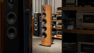 Sonus faber Sonetto VIII audiocostruzioni unboxing hifiaudio [upl. by Atnad]