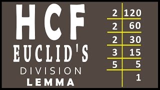 Finding HCF using Euclids Division Lemma in real numbers  Math  Letstute [upl. by Yllas]