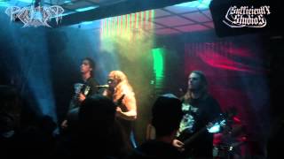 PAGANIZER  Scandinavian Warmachine  Live 2014 [upl. by Ahsenev]