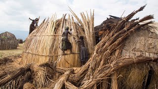 Sustainable Living  Hut of Reeds [upl. by Ariadne919]