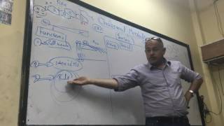 Dr Ayman Beshir  Cholesterol Metabolism [upl. by Ennasor]