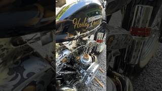 ハーレー shovelhead ツーリング ショベルヘッド [upl. by Wiedmann]