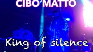 Cibo Matto  King of silence sub español [upl. by Eudocia]