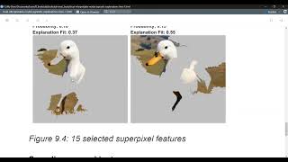 Explanatory Model Analysis Local Interpretable Modelagnostic Explanations LIME ema01 9 [upl. by Shannan]