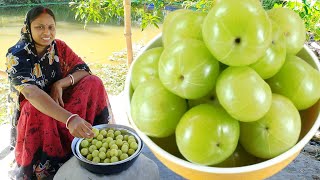 সর্দি কাশি গ্যাস অম্বল দূর করতে আমলকী এইভাবে একবার খেয়ে দেখুন দারুন উপকার পাবেন  amla recipe [upl. by Enehs]