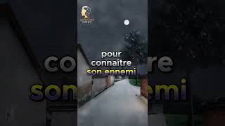 Montre toi faible foryou motivation shorts fyp viralvideo france youtubeshorts development [upl. by Adorl]