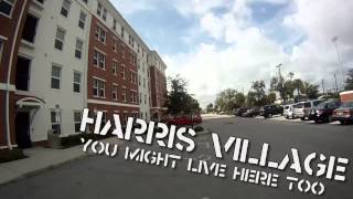 Florida Tech Campus Skateboard Tour [upl. by Aizahs]