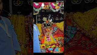 Todays Divine 4 Darshan vrindavan bankebihari radharani radhavallabh radharaman livedarshan [upl. by Anuahc]