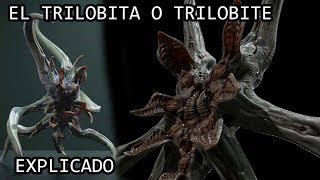 El Trilobita o Trilobite EXPLICADO [upl. by Atinad33]