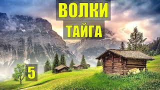 ВЕДЬМА ПРЕДСКАЗАЛА ОТШЕЛЬНИКУ ИСТОРИИ из ЖИЗНИ ЗОЛОТО СТРАШНАЯ СУДЬБА в ТАЙГЕ в ЛЕСУ ВОЛКИ СЕРИАЛ 5 [upl. by Marashio203]