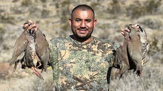 ⛰️ Perdíz de el decierto chukars  hunting [upl. by Gereron]