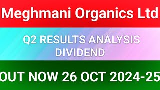 MEGHMANI ORGANICS LTD Q2 RESULT 2024MEGHMANI ORGANICS LTD Q2 RESULT TODAY [upl. by Airogerg]