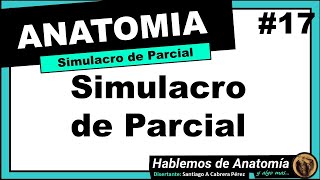 🔴 17👉 ANATOMÍA 🟩 SIMULACRO DE PARCIAL  PINCHES 🟪 [upl. by Ecirtael]