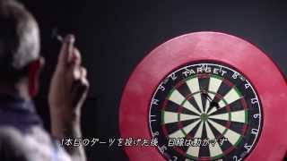 Portrait in Darts Phil The Power Taylor Official Trailer 2 [upl. by Joanna]