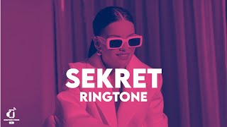 Sekret Ermenita Ringtone download link in the bio [upl. by Irallih815]