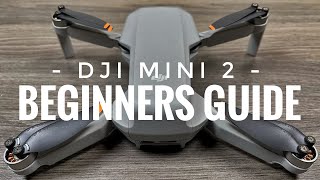 DJI Mini 2  Everything You Need to Know [upl. by Ahron132]