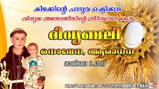 12 NOVEMBER 2024  ദിവ്യബലി  ST ANTONYS SHRINE CHETTIKKAD [upl. by Song]