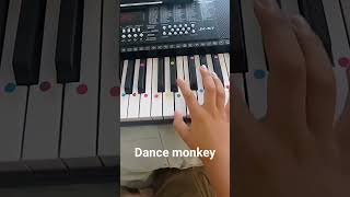 piano dance monkey facil [upl. by Kellda]