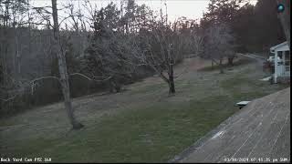 LIVE Deer Cam Virginia [upl. by Sapphira502]