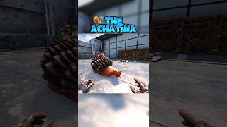 Storytime The Achatina in Ark Survival Evolved 🐌 arksurvival arksurvivalevolved ark playark [upl. by Daggna]