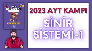 Sinir Sistemi1Bölüm AYT Biyoloji Kampı Konu Anlatımı 11Sınıf 2024 Tayfa [upl. by Kiersten]