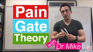 Pain Gate Theory [upl. by Sairtemed]