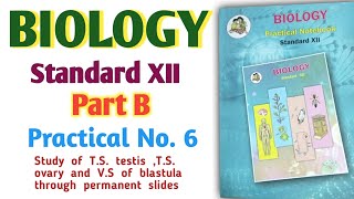 12th Biology Practical No 6 Part B viralvideo chemistry biology science 12th neet new [upl. by Robenia935]