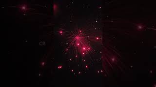 Pink Panther 😍 Krishna Fireworks Biggest Shell Testing Sivakasi Crackers Diwali 2024 [upl. by Ahseiyn]