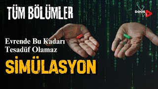 Simülasyon Evren Gerçek Olabilir Bilgisayar Oyununun İçinde Yaşıyoruz  Tüm Bölümler  Doos TV [upl. by Siward800]