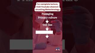 basics of cell culture introduction to cell culture unveiling biotechnology [upl. by Vittoria]