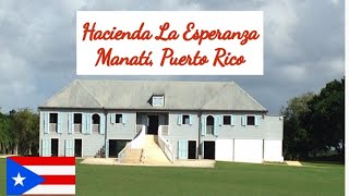 Hacienda La Esperanza Manatí Puerto Rico Tour y su Historia puertorico puertorico travel [upl. by Anihsat]