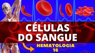 CÉLULAS DO SANGUE E SUAS FUNÇÕES COMPOSIÇÃO SANGUÍNEA  HEMATOLOGIA [upl. by Asselam76]