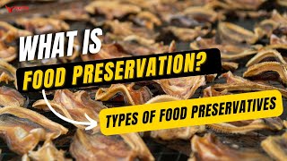 Food Preservatives – Types of Food Preservatives – Food Science amp Technology [upl. by Aileahcim]