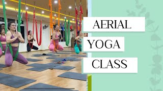 Aerial yoga class  trending viral [upl. by Siuqaj]