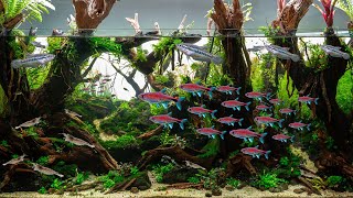 70 neue Bewohner für mein Wald Diorama Aquarium 🐟🐟 [upl. by Arammahs]